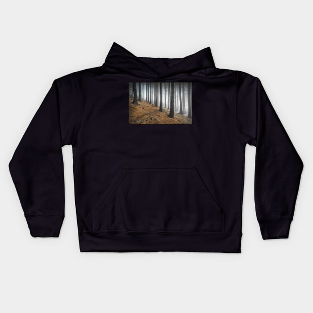 Misty spruce trees with a path Kids Hoodie by TonyNorth